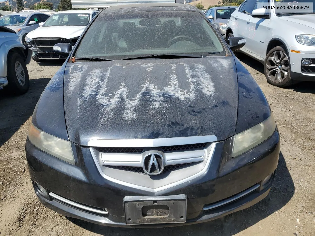 2008 Acura Tl VIN: 19UUA66258A036879 Lot: 65214834