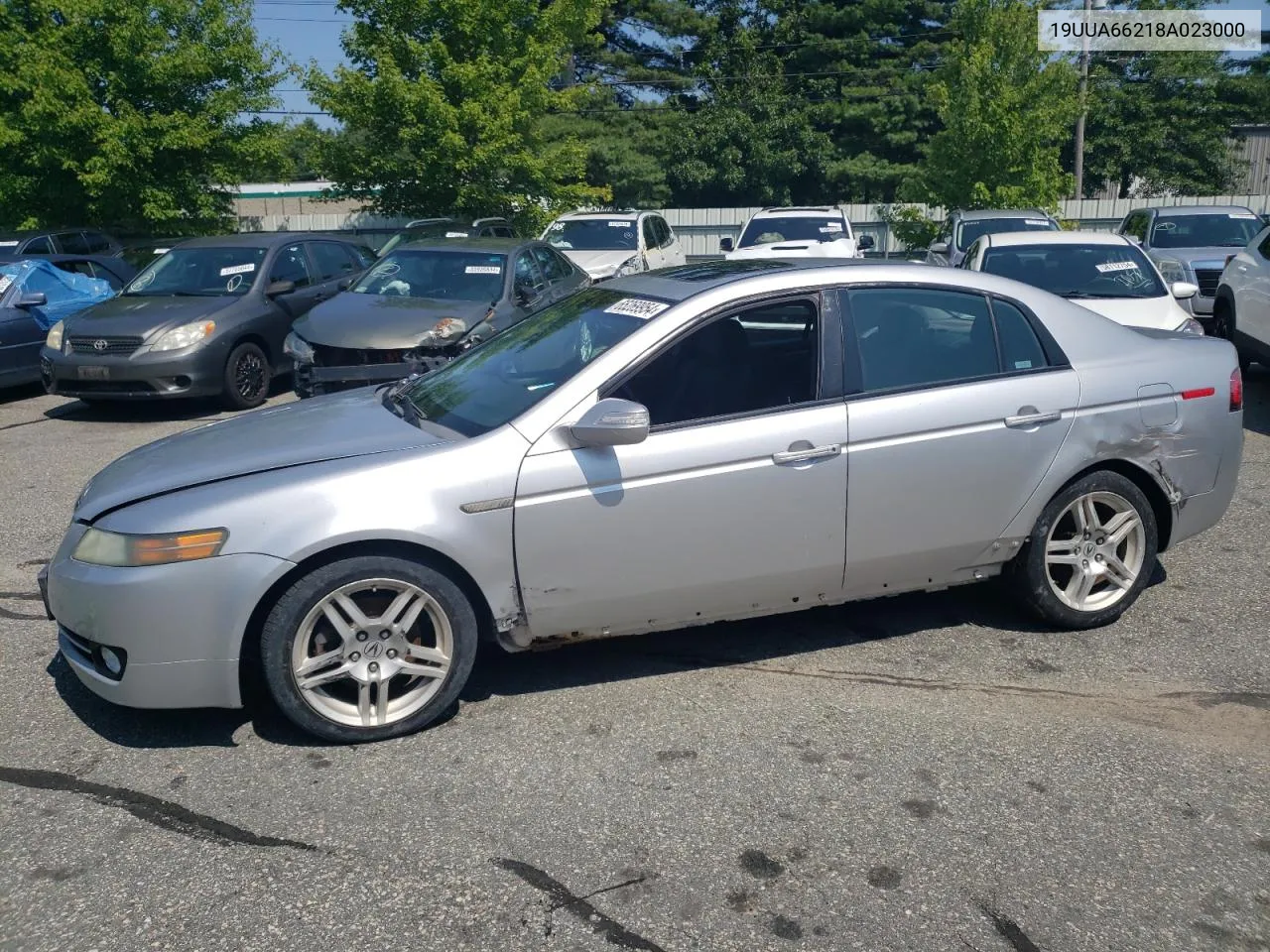 2008 Acura Tl VIN: 19UUA66218A023000 Lot: 65269954