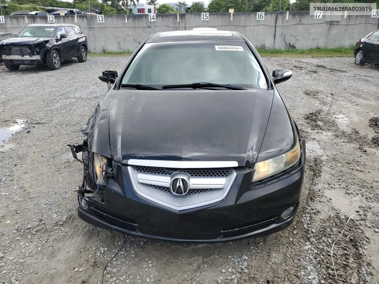 2008 Acura Tl VIN: 19UUA66288A003519 Lot: 68884454