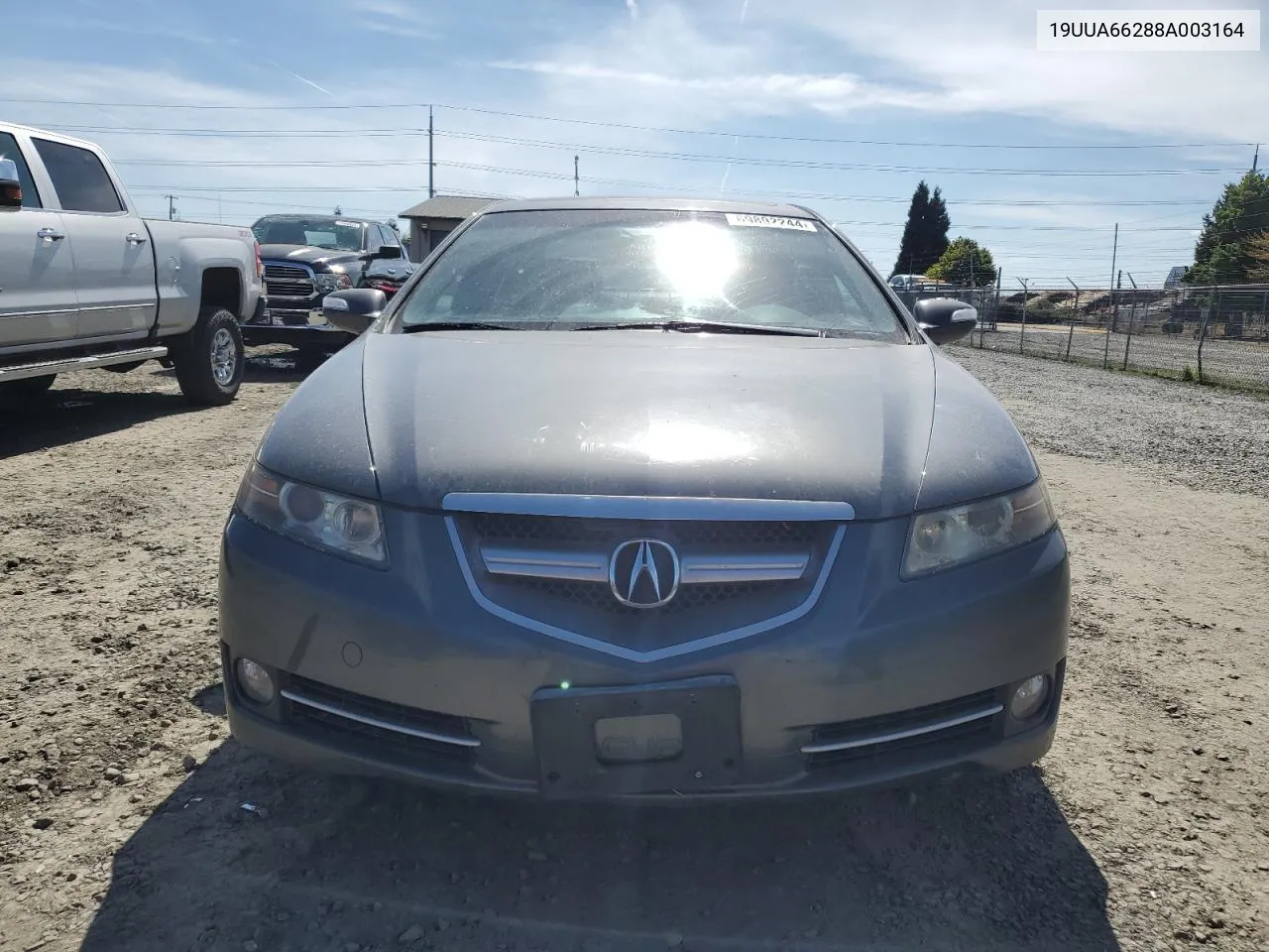 2008 Acura Tl VIN: 19UUA66288A003164 Lot: 69892244