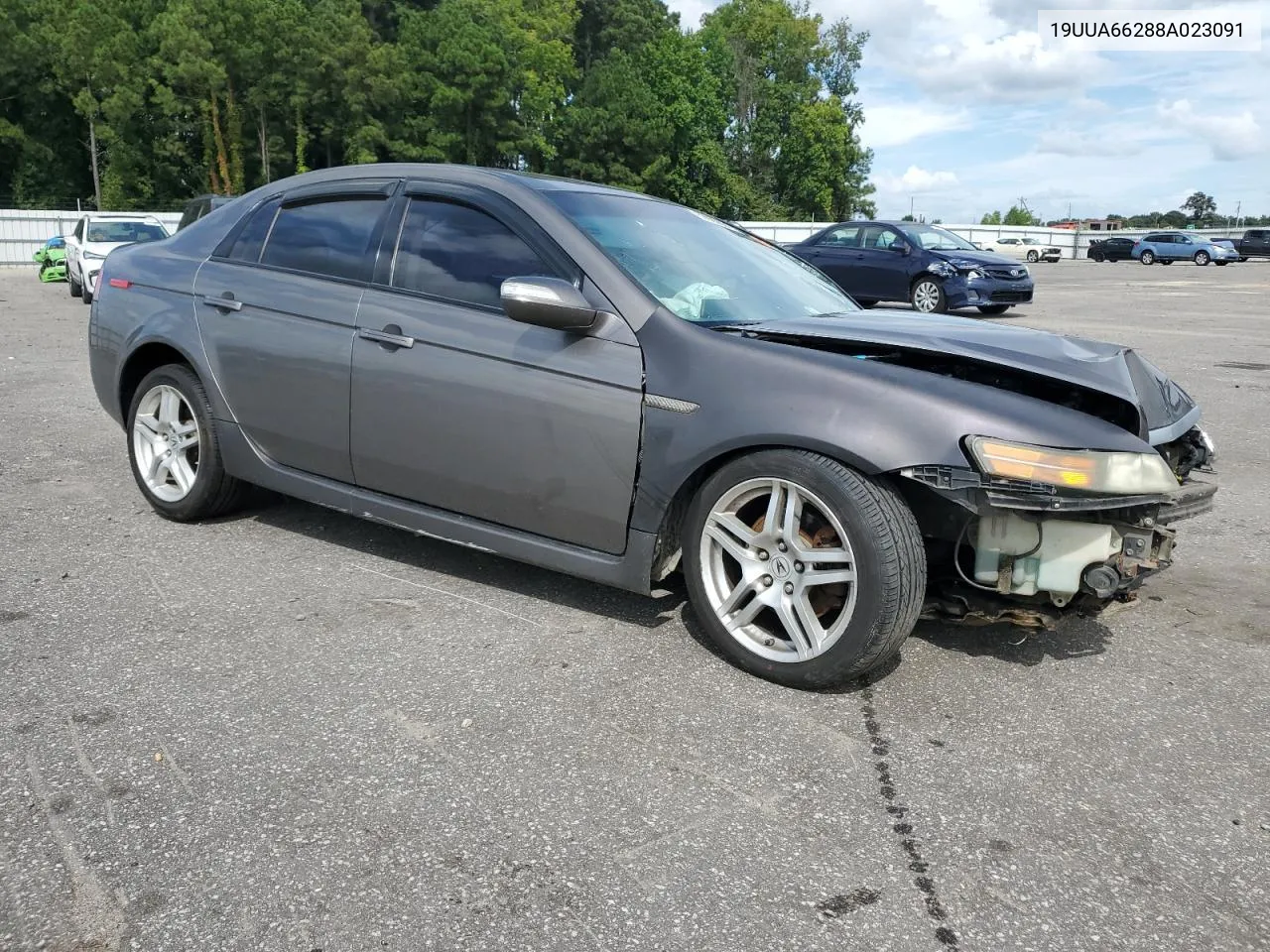 2008 Acura Tl VIN: 19UUA66288A023091 Lot: 69980884