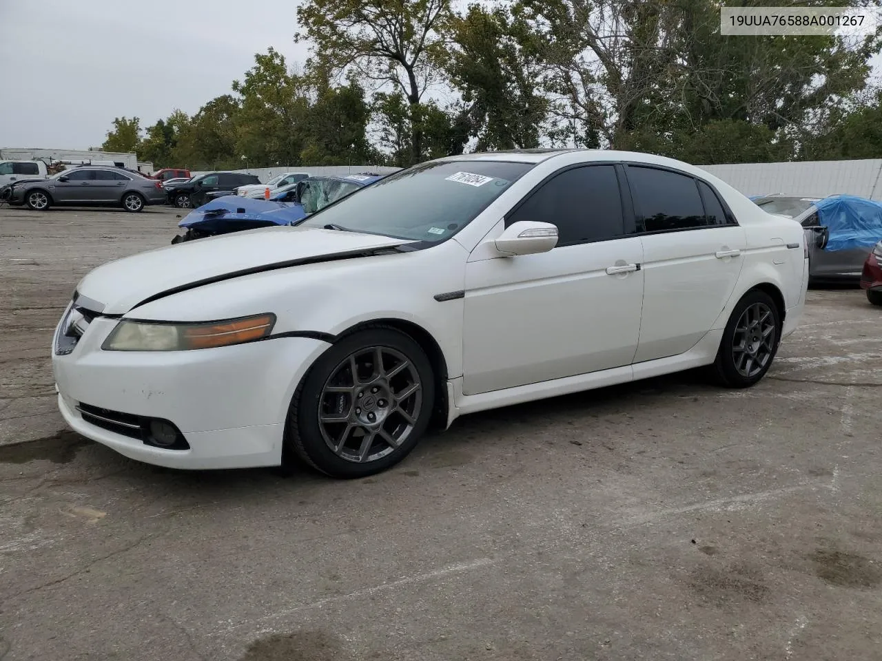 2008 Acura Tl Type S VIN: 19UUA76588A001267 Lot: 71610264