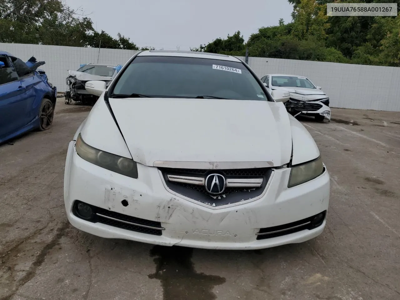 2008 Acura Tl Type S VIN: 19UUA76588A001267 Lot: 71610264