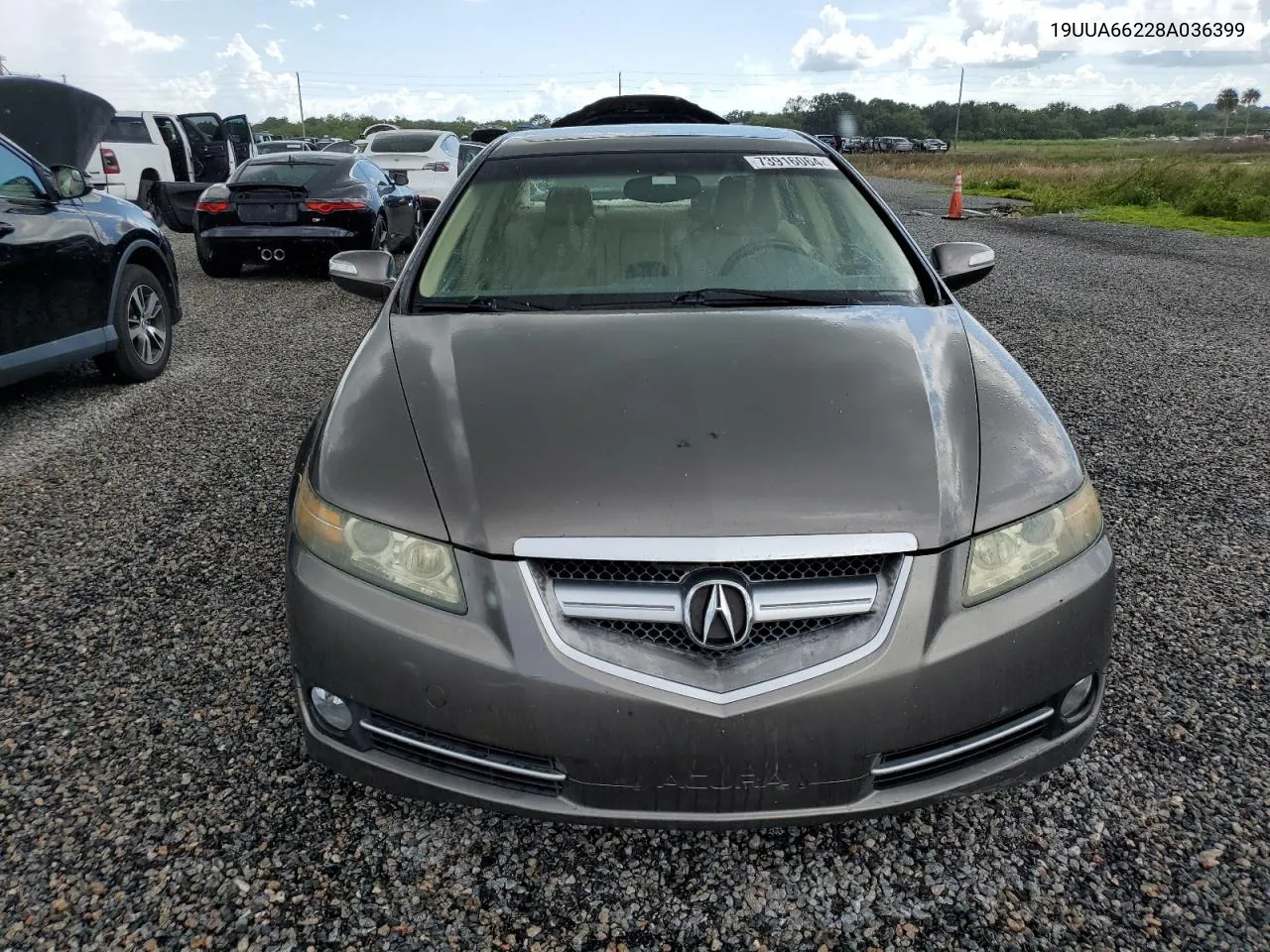 2008 Acura Tl VIN: 19UUA66228A036399 Lot: 73916064