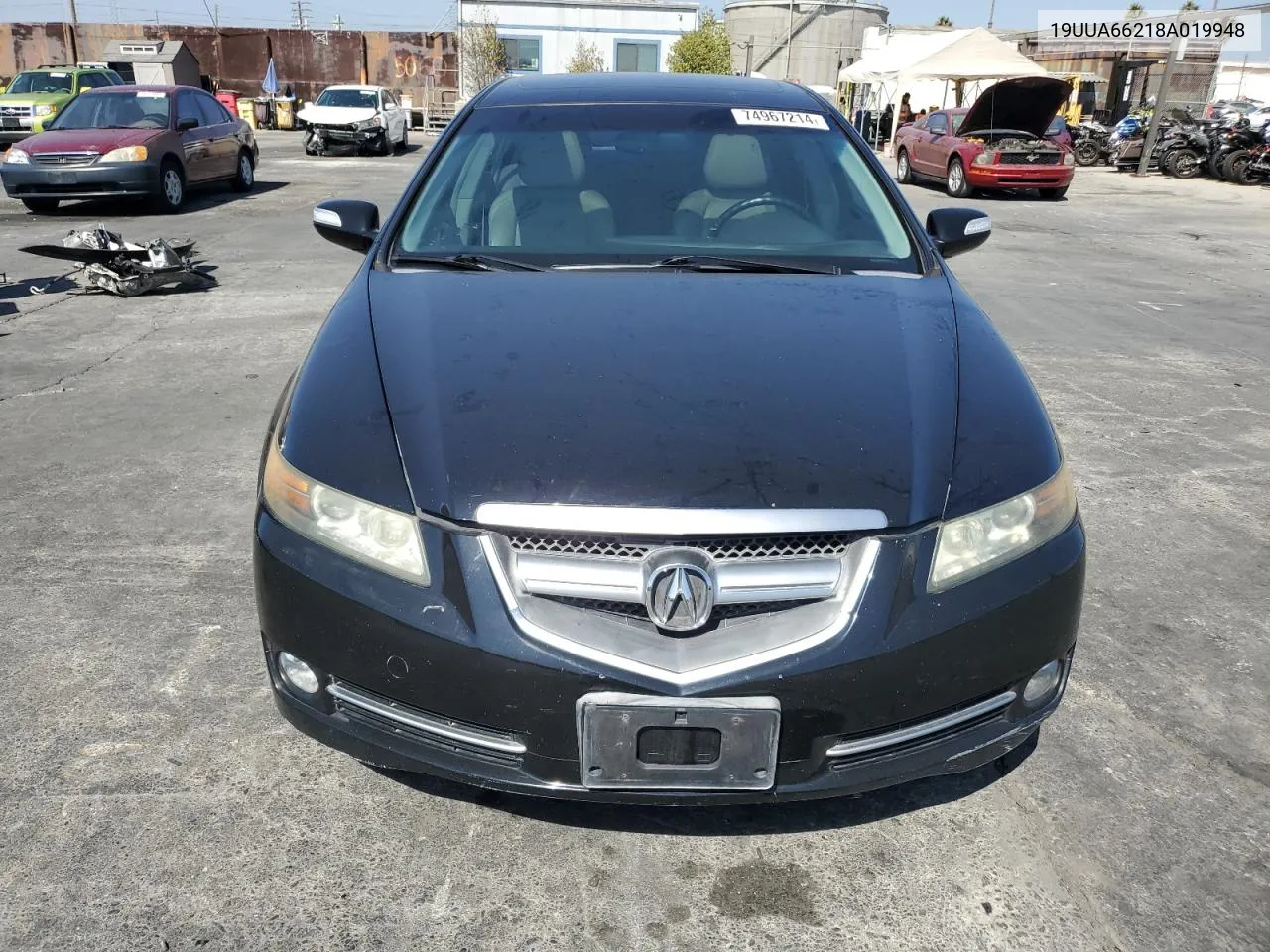 2008 Acura Tl VIN: 19UUA66218A019948 Lot: 74967214