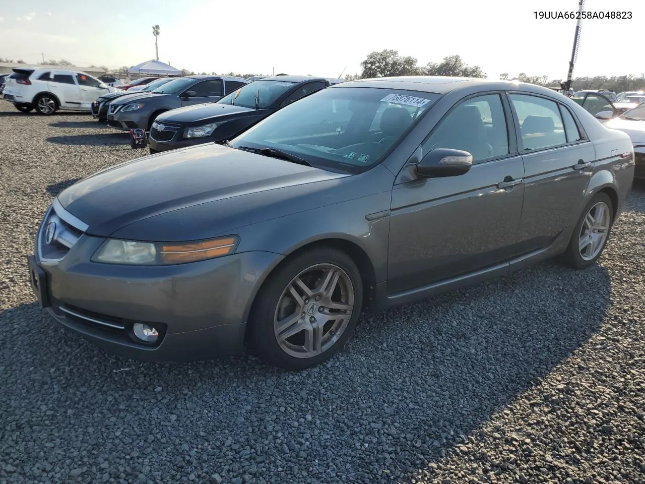 2008 Acura Tl VIN: 19UUA66258A048823 Lot: 75876114