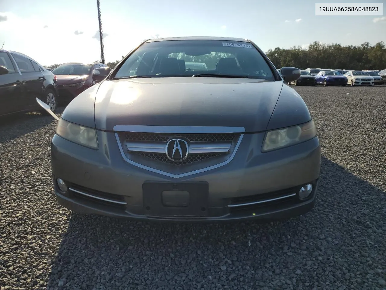 2008 Acura Tl VIN: 19UUA66258A048823 Lot: 75876114