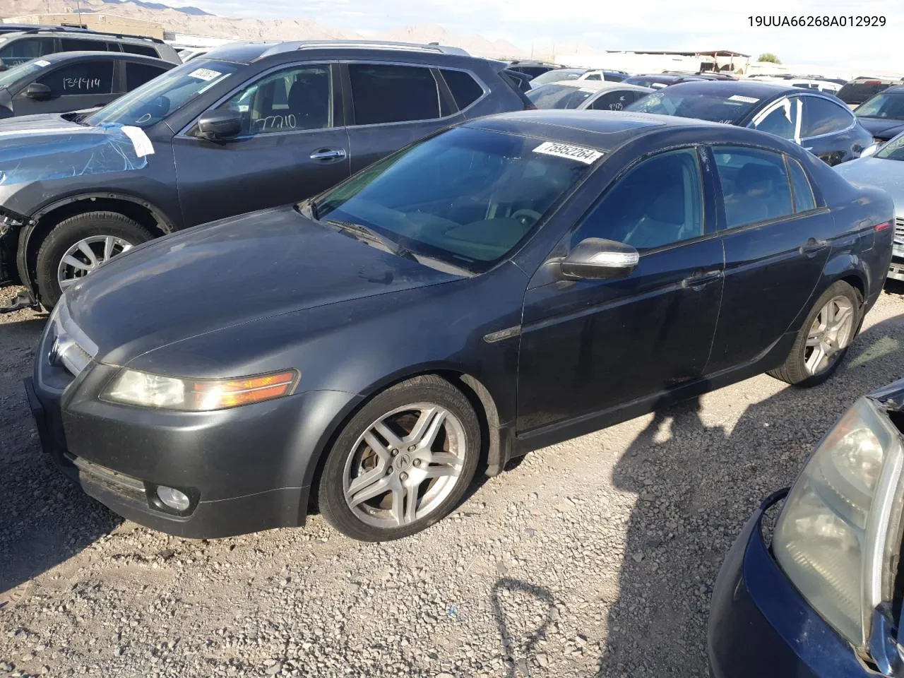 2008 Acura Tl VIN: 19UUA66268A012929 Lot: 75952264