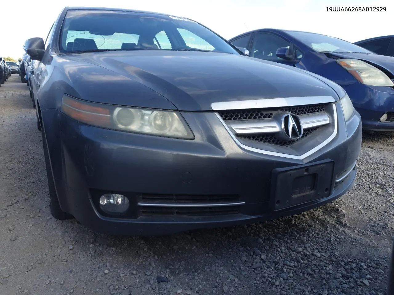 2008 Acura Tl VIN: 19UUA66268A012929 Lot: 75952264