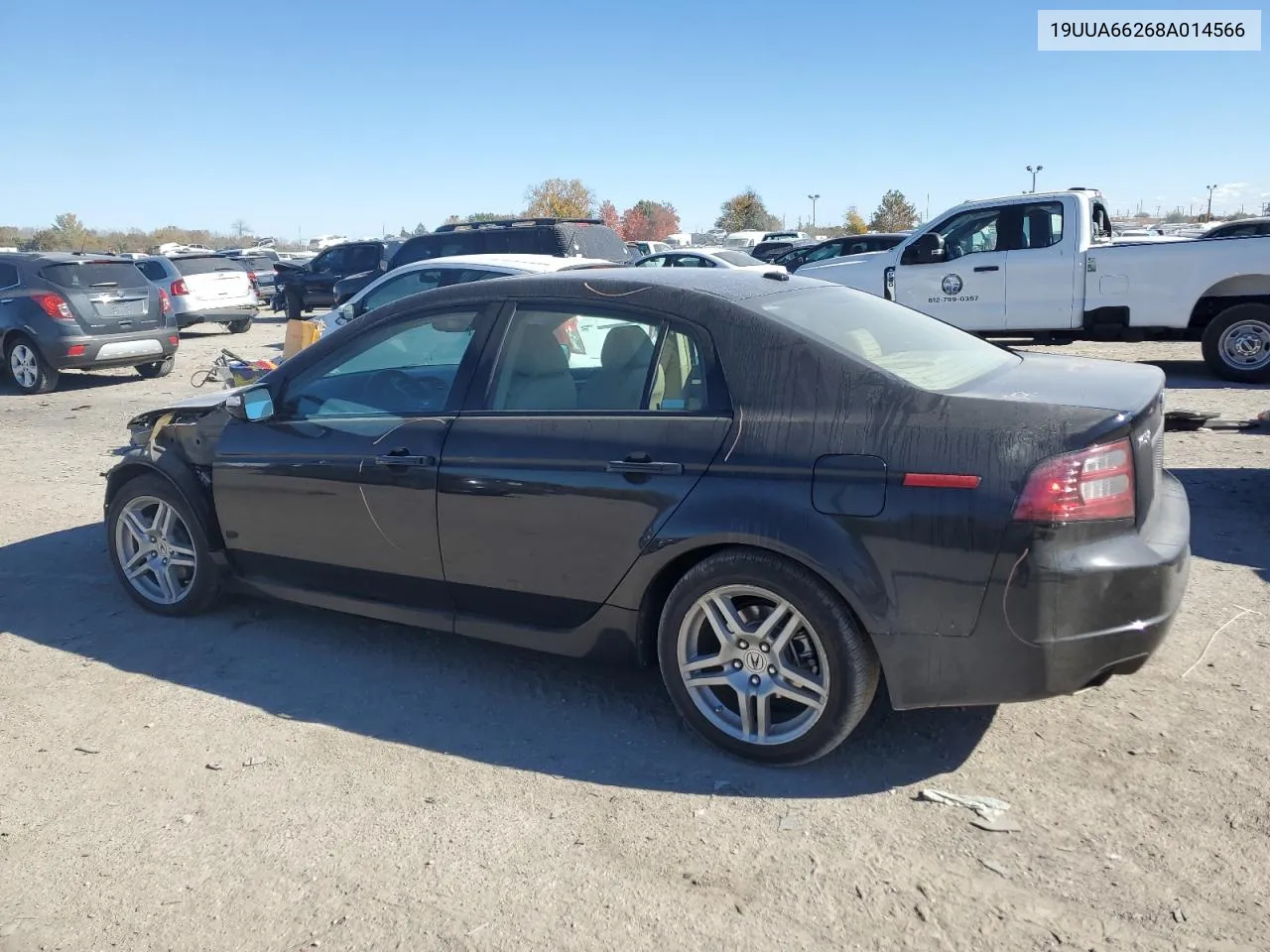 2008 Acura Tl VIN: 19UUA66268A014566 Lot: 76812284