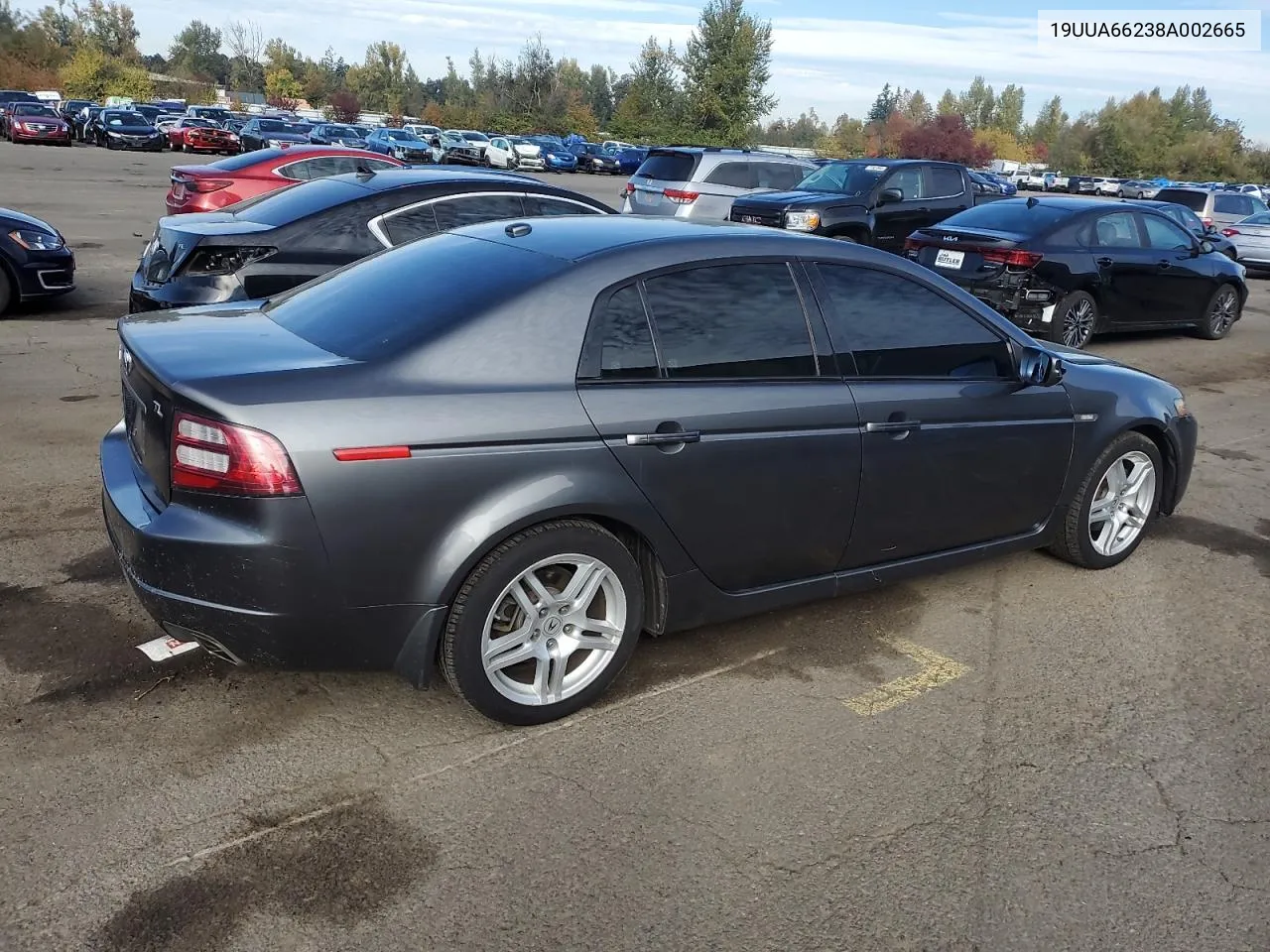 2008 Acura Tl VIN: 19UUA66238A002665 Lot: 77399344