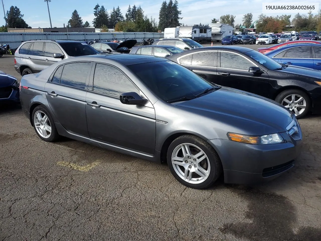 2008 Acura Tl VIN: 19UUA66238A002665 Lot: 77399344