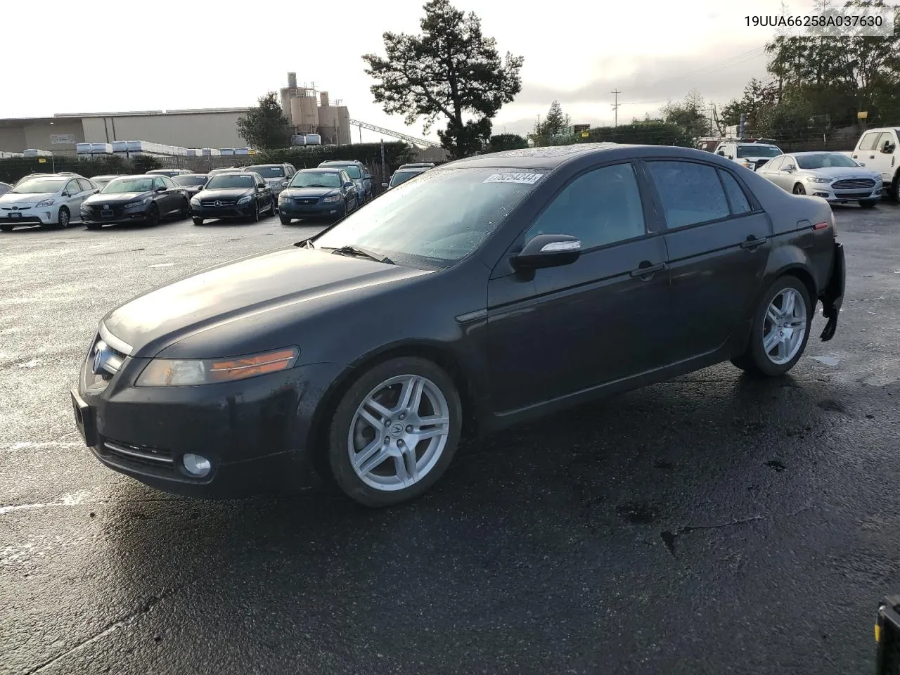 2008 Acura Tl VIN: 19UUA66258A037630 Lot: 78254244