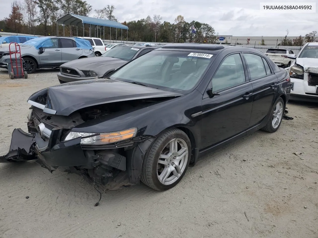 2008 Acura Tl VIN: 19UUA66268A049592 Lot: 78700514