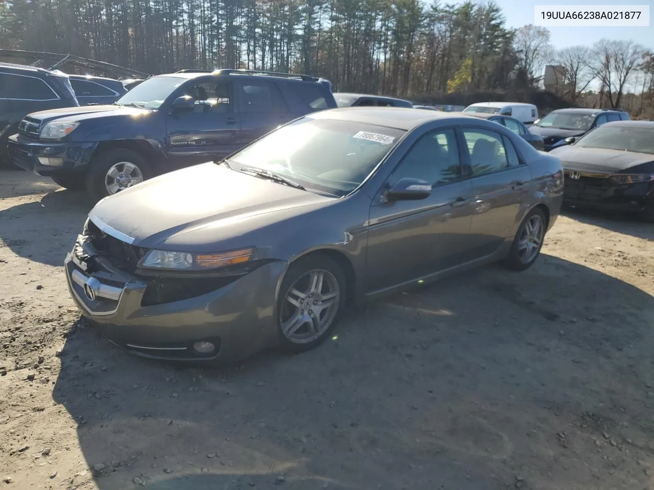 19UUA66238A021877 2008 Acura Tl