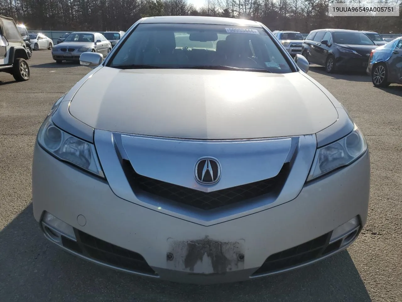 2009 Acura Tl VIN: 19UUA96549A005751 Lot: 50953444