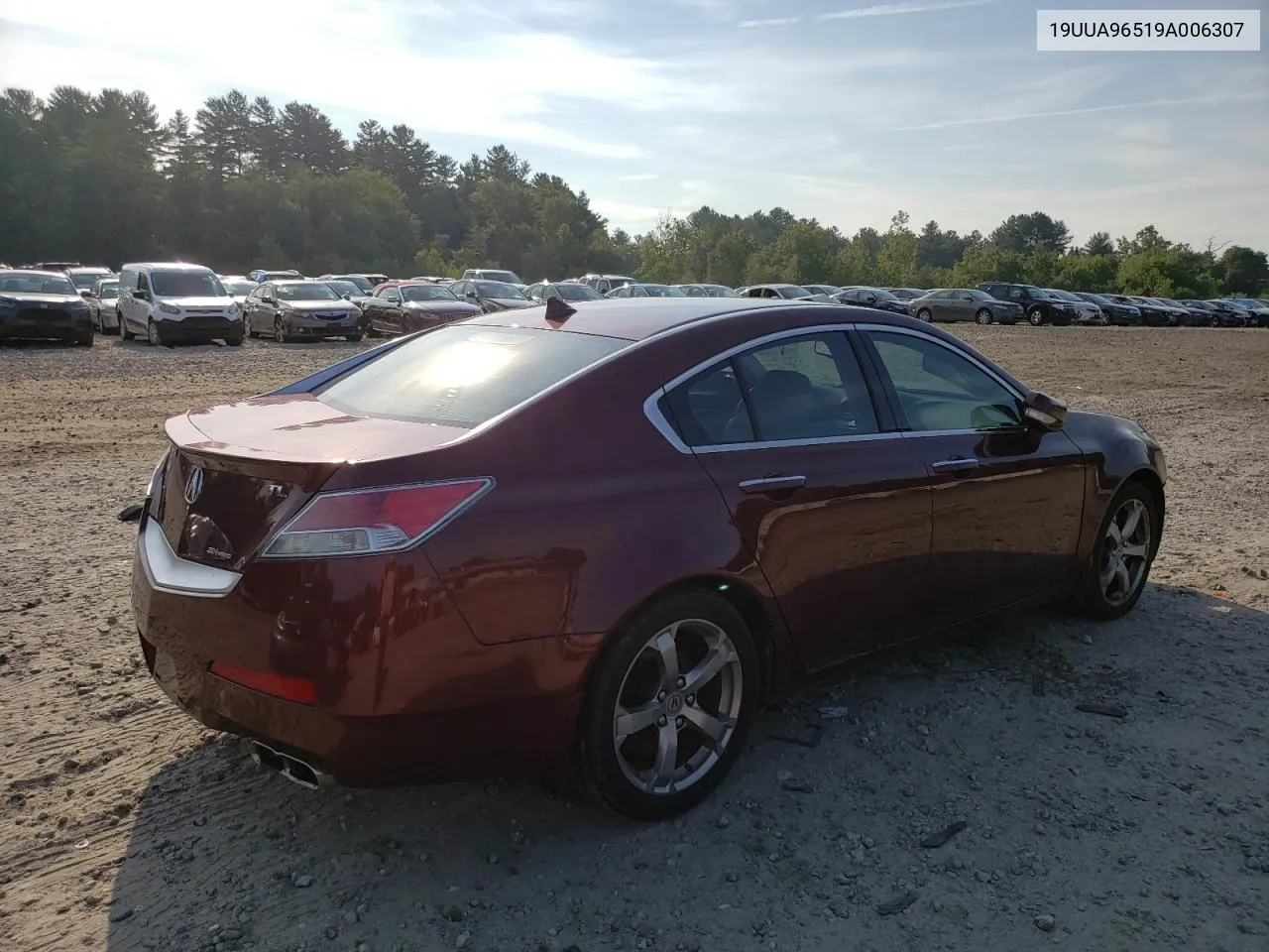 2009 Acura Tl VIN: 19UUA96519A006307 Lot: 61800854