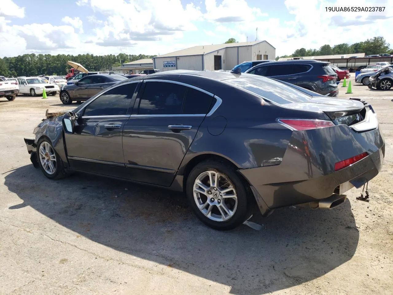 2009 Acura Tl VIN: 19UUA86529A023787 Lot: 62478744