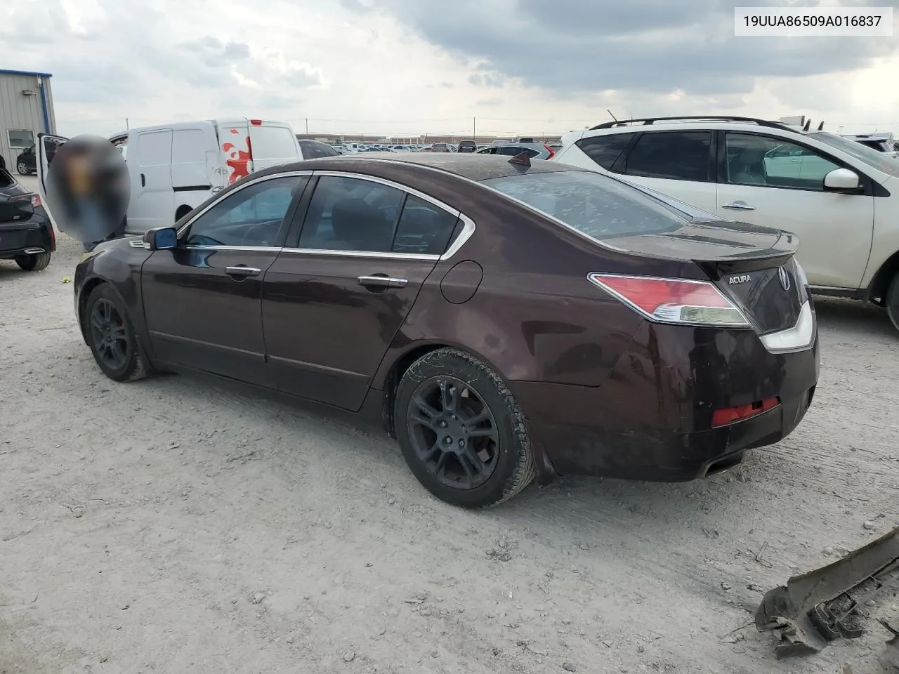 19UUA86509A016837 2009 Acura Tl