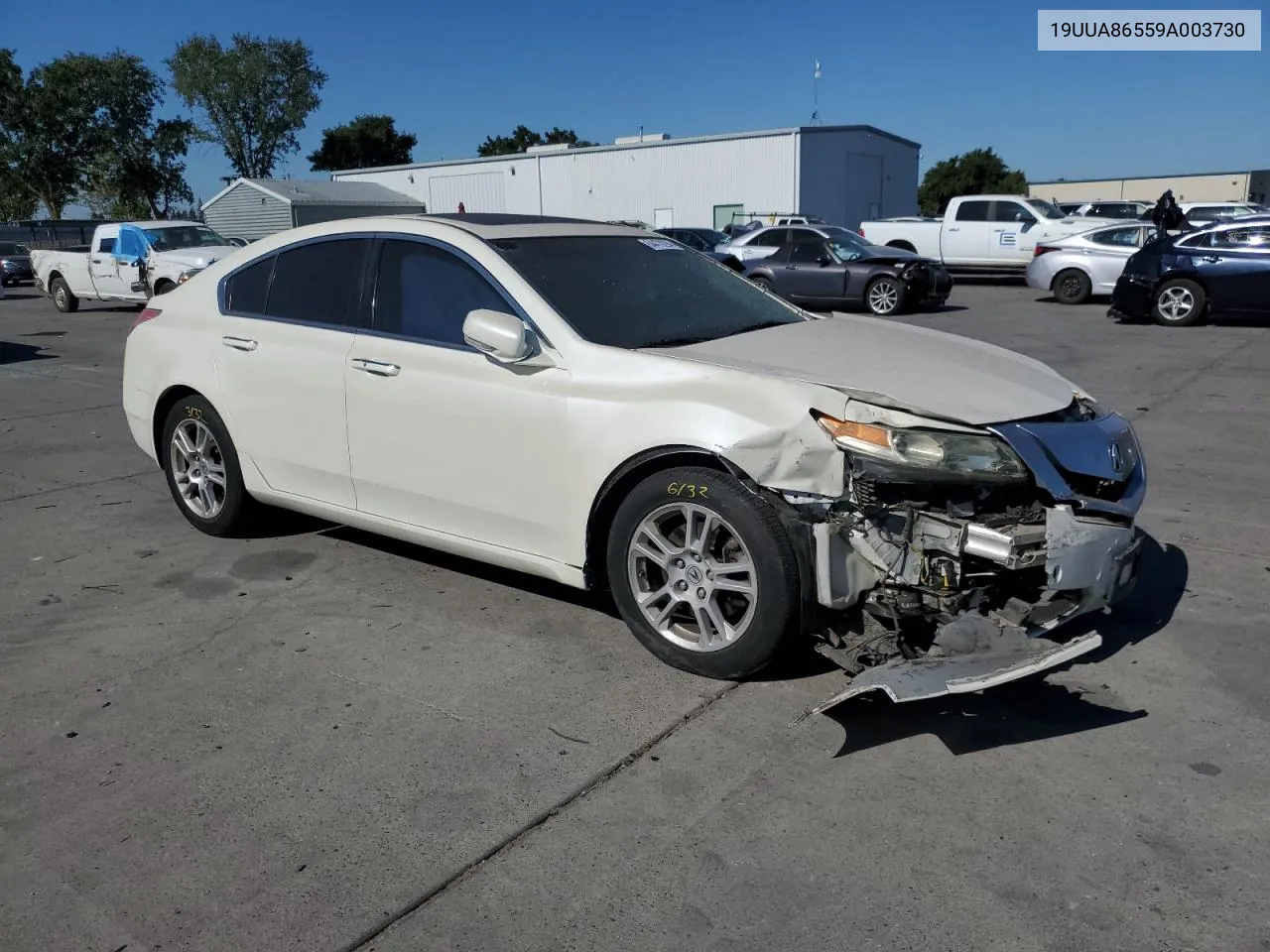 2009 Acura Tl VIN: 19UUA86559A003730 Lot: 64478294