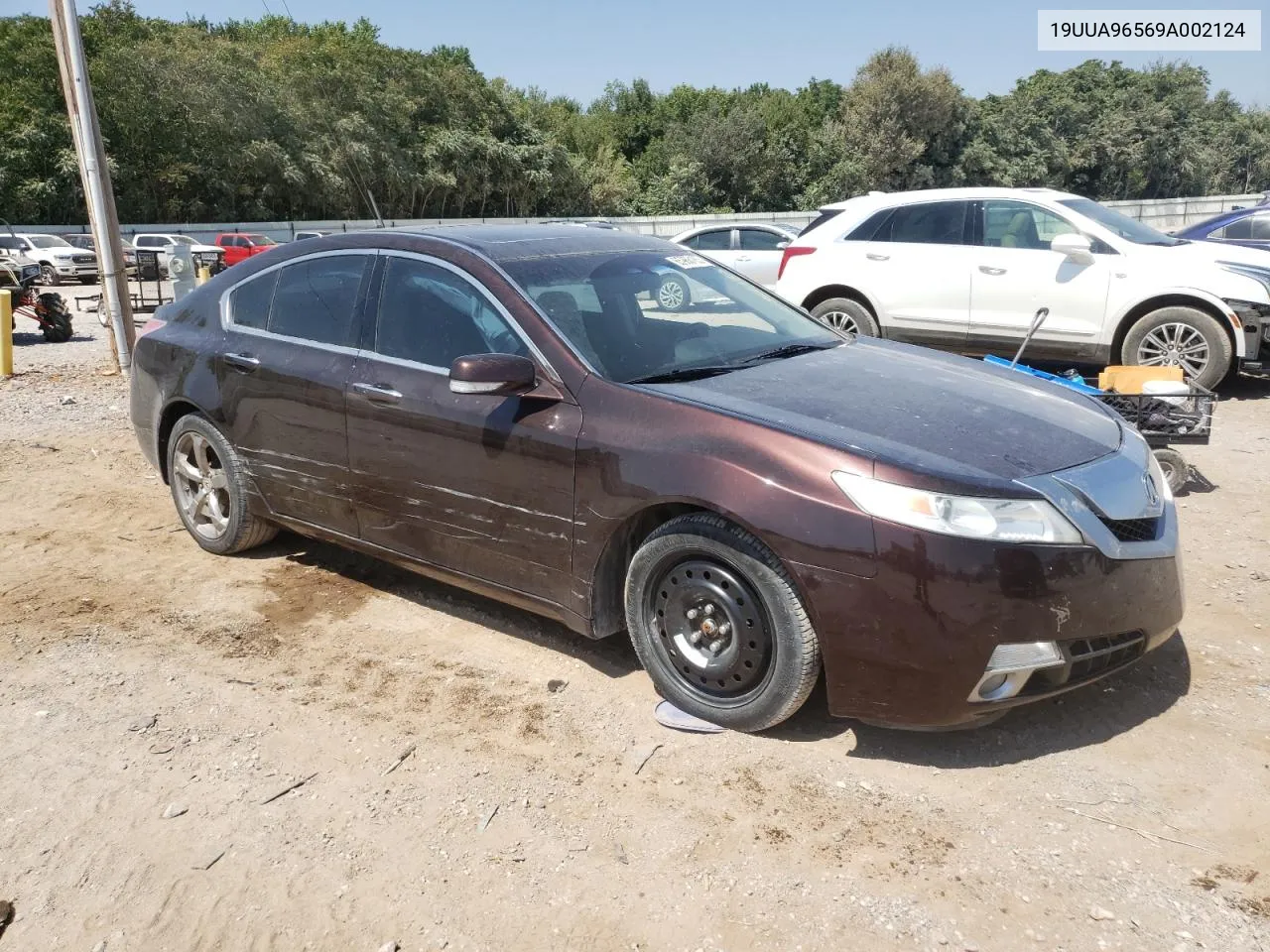 2009 Acura Tl VIN: 19UUA96569A002124 Lot: 65966183