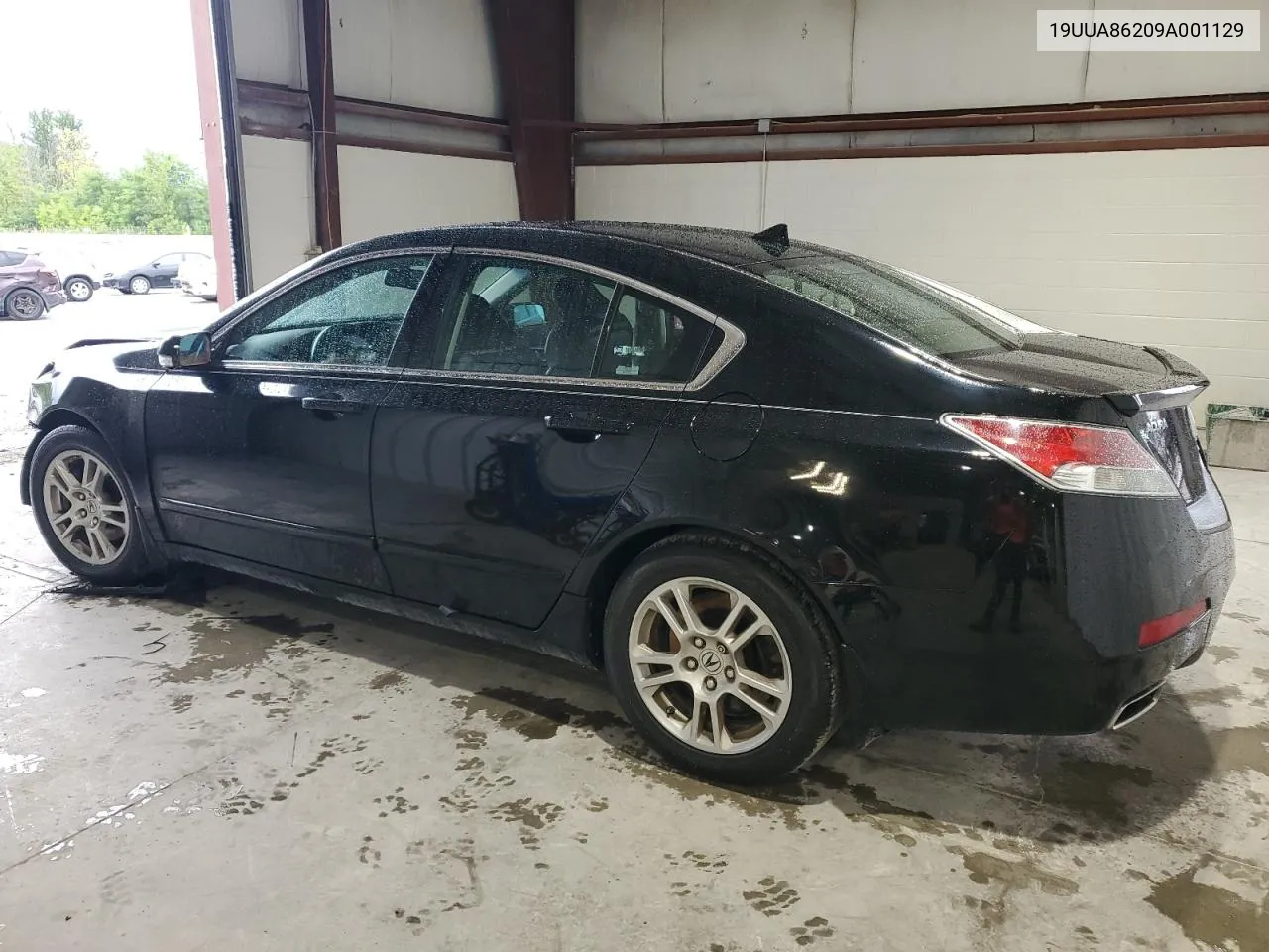 2009 Acura Tl VIN: 19UUA86209A001129 Lot: 66117784