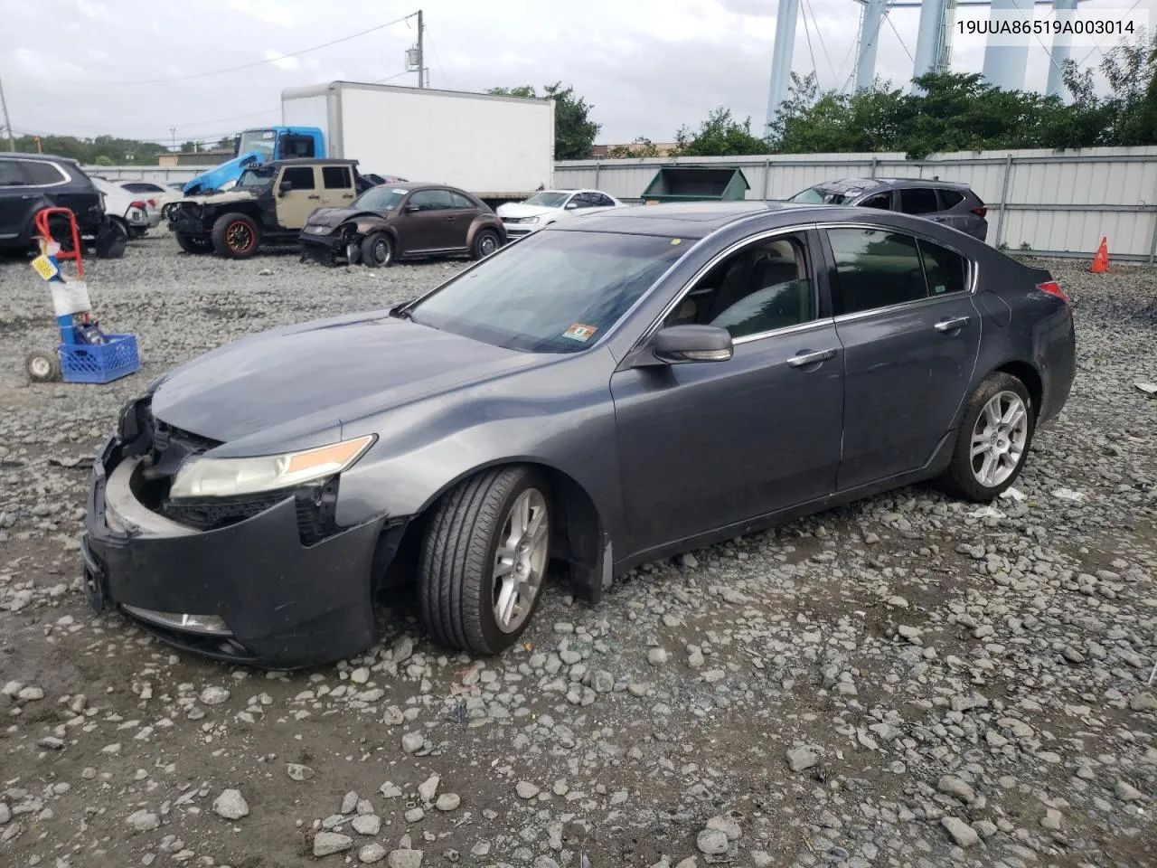 2009 Acura Tl VIN: 19UUA86519A003014 Lot: 66244724