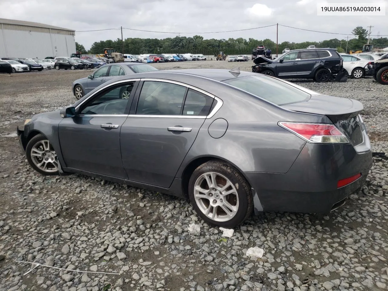 2009 Acura Tl VIN: 19UUA86519A003014 Lot: 66244724