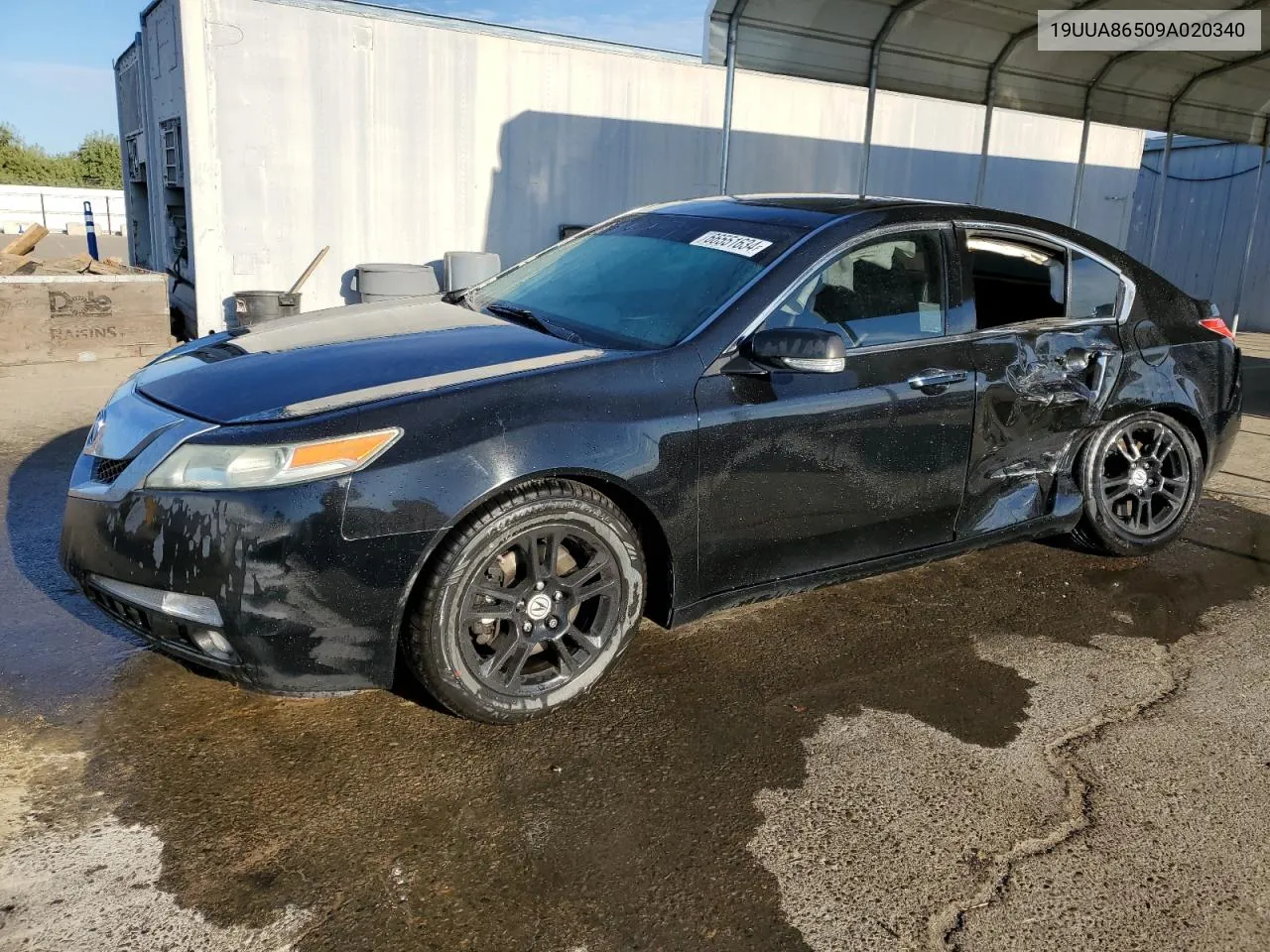 2009 Acura Tl VIN: 19UUA86509A020340 Lot: 66551634