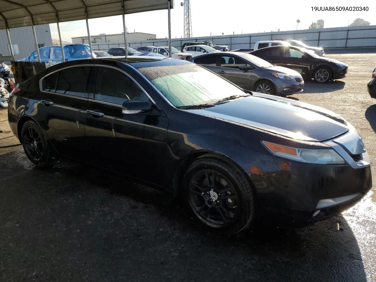 2009 Acura Tl VIN: 19UUA86509A020340 Lot: 66551634