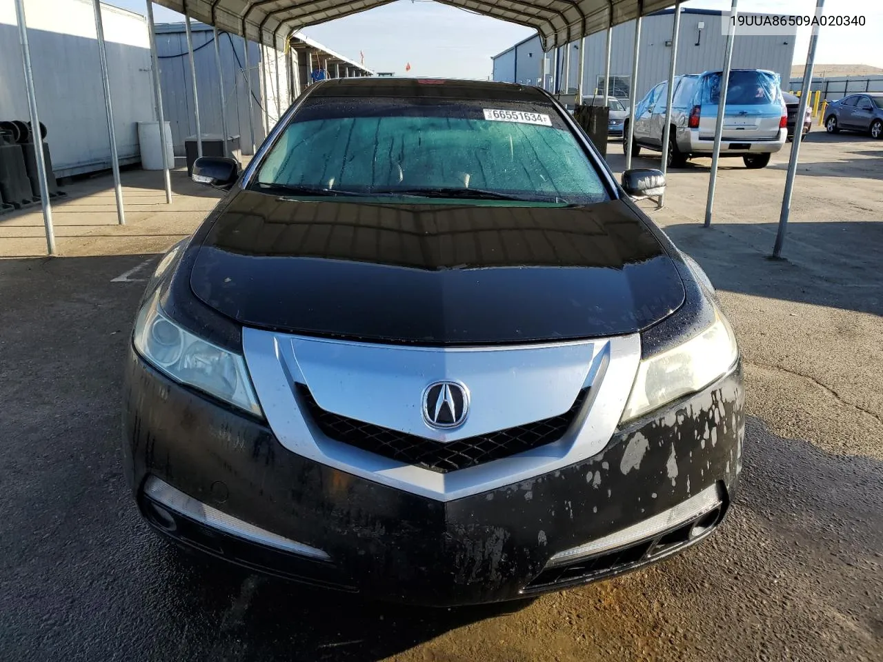 2009 Acura Tl VIN: 19UUA86509A020340 Lot: 66551634