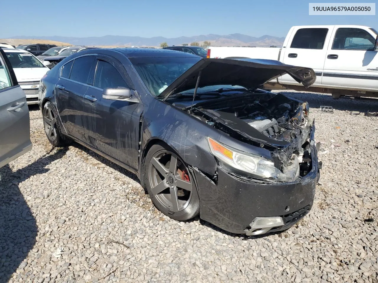 2009 Acura Tl VIN: 19UUA96579A005050 Lot: 69287714