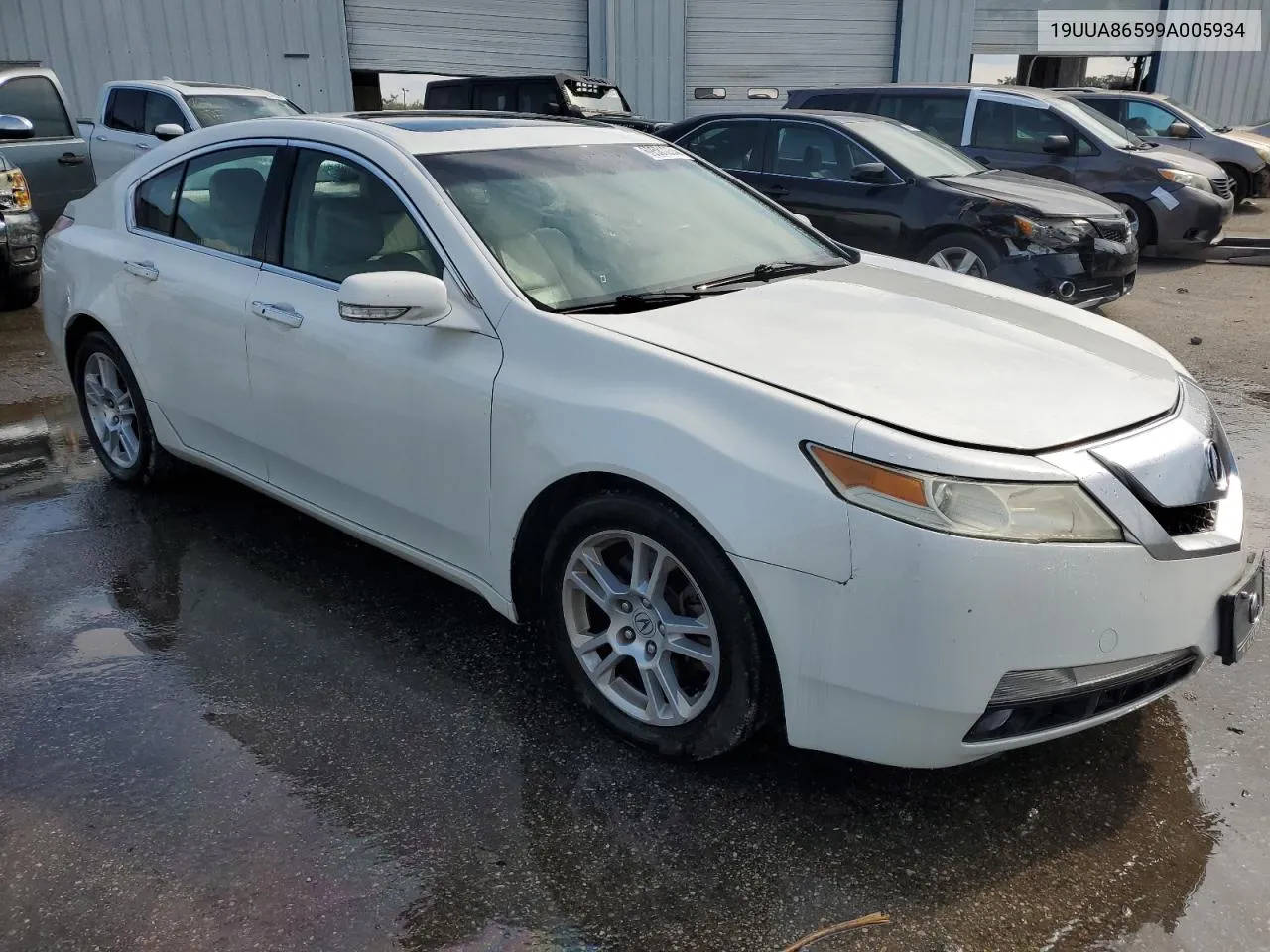 2009 Acura Tl VIN: 19UUA86599A005934 Lot: 69581004