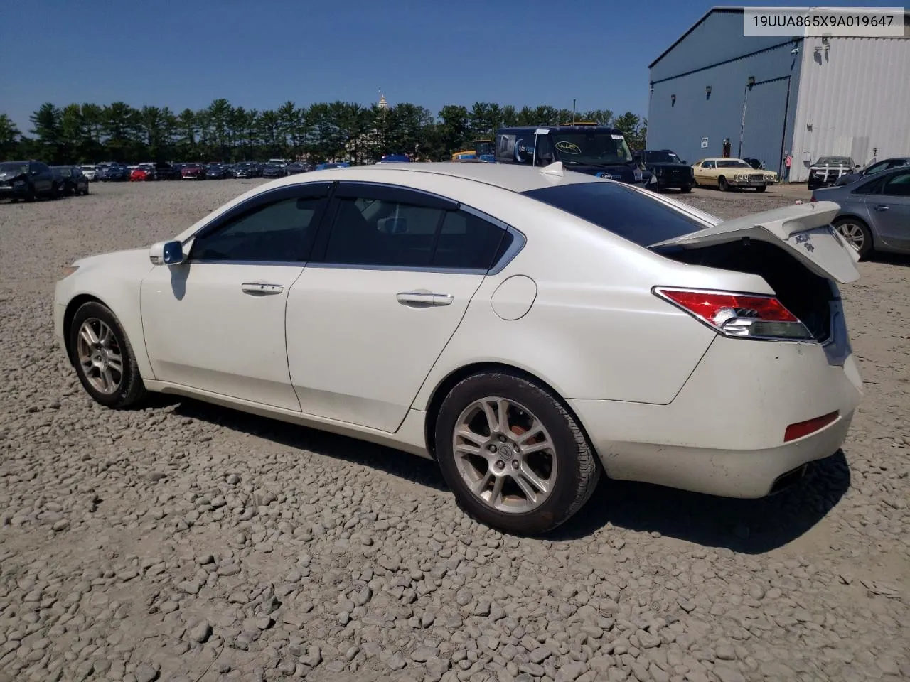 2009 Acura Tl VIN: 19UUA865X9A019647 Lot: 69810744