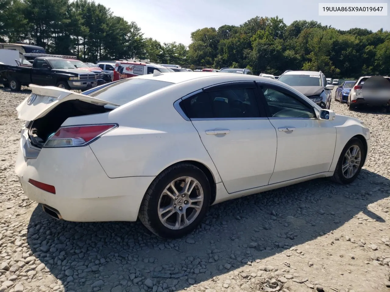 2009 Acura Tl VIN: 19UUA865X9A019647 Lot: 69810744