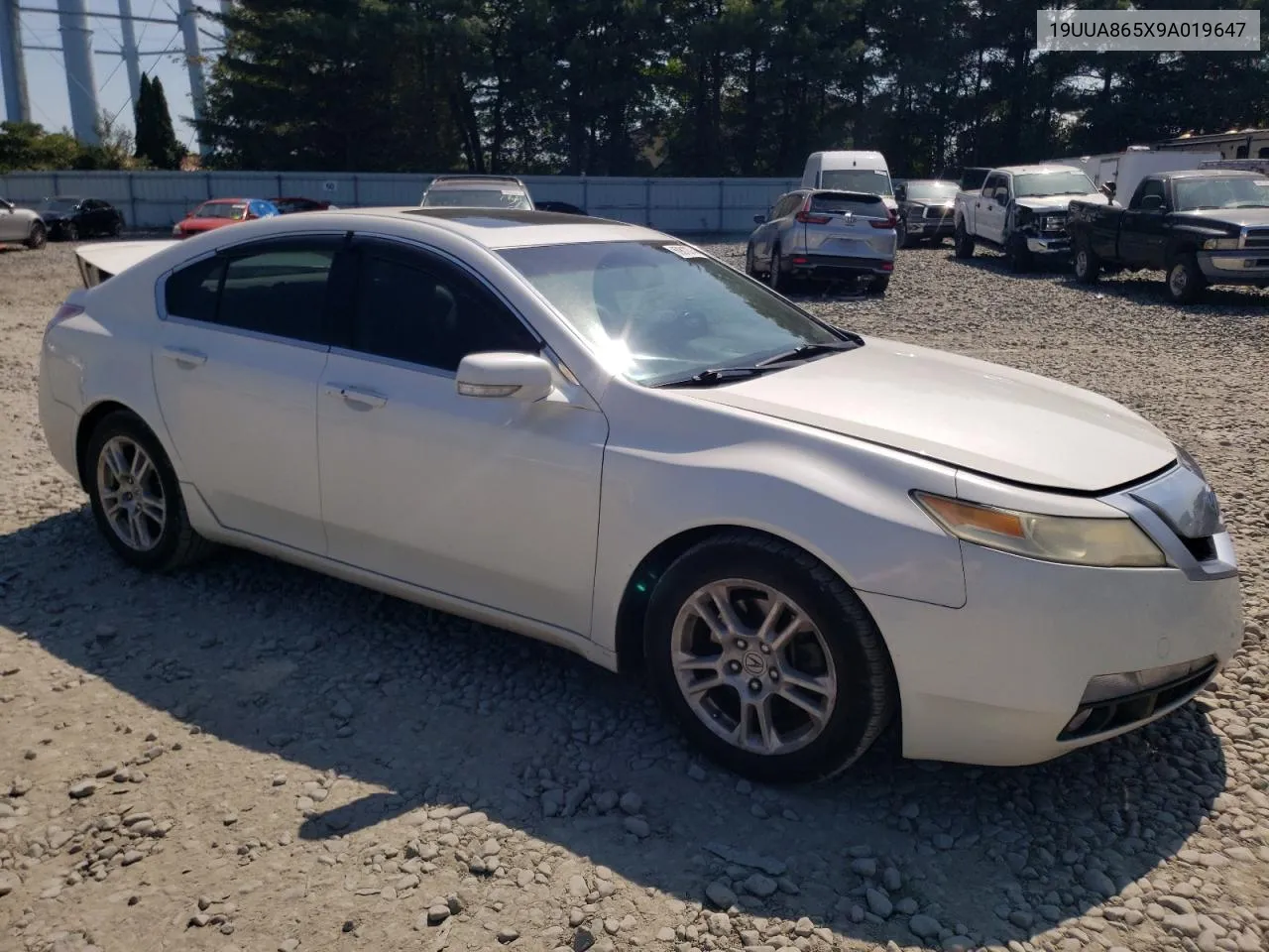 2009 Acura Tl VIN: 19UUA865X9A019647 Lot: 69810744