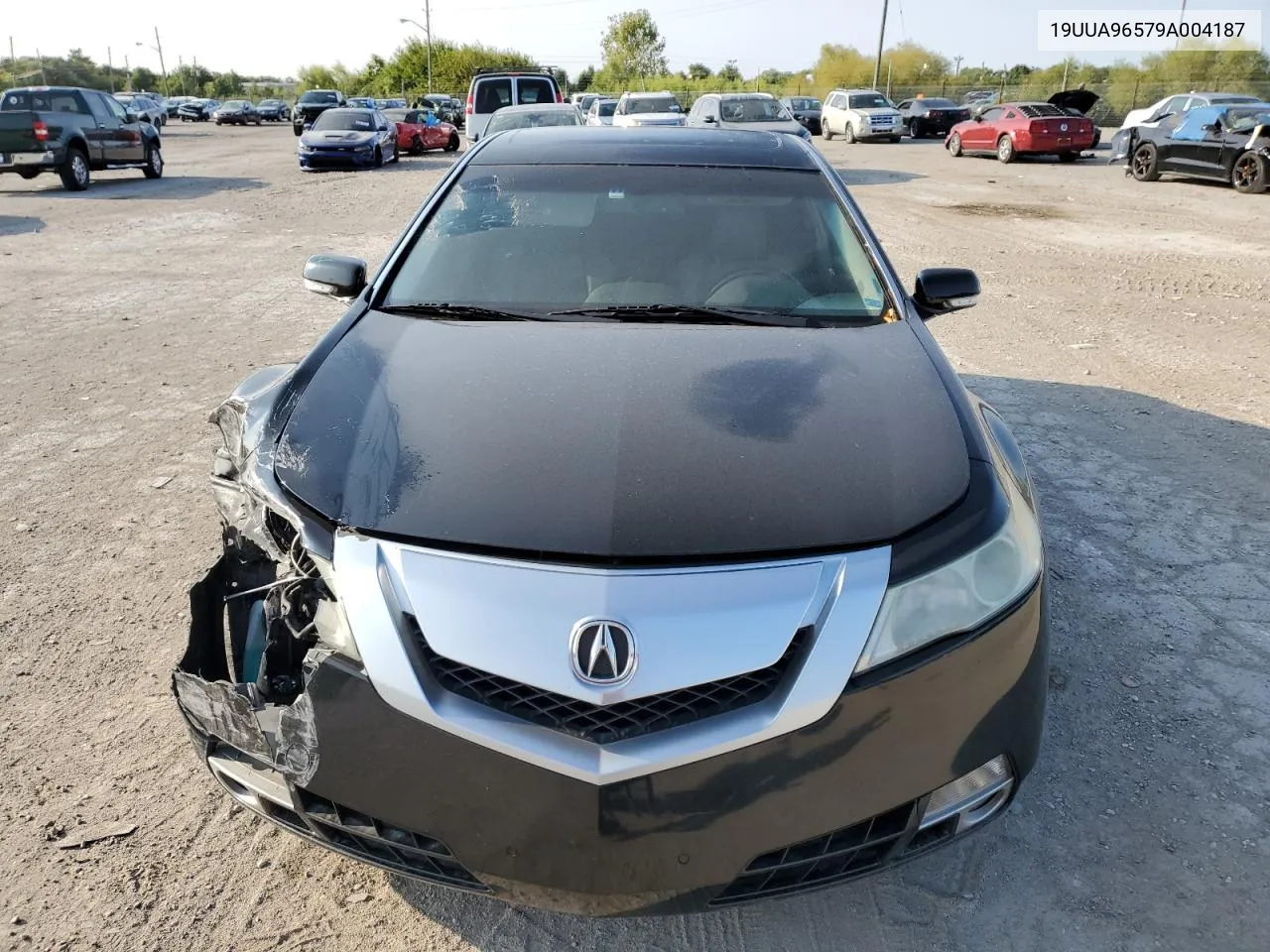 2009 Acura Tl VIN: 19UUA96579A004187 Lot: 70253734