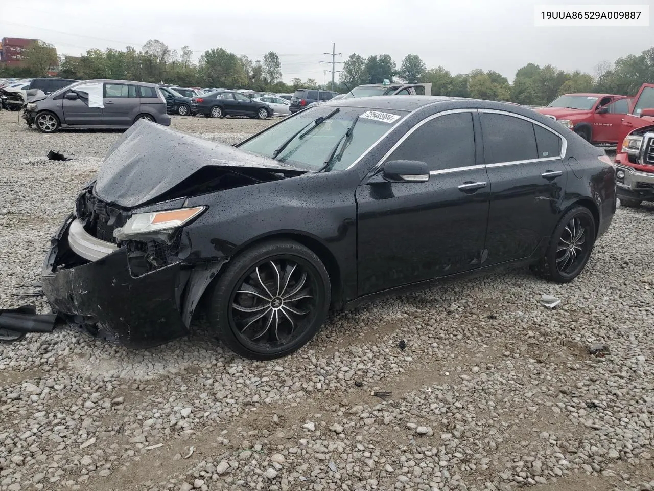 2009 Acura Tl VIN: 19UUA86529A009887 Lot: 72540904