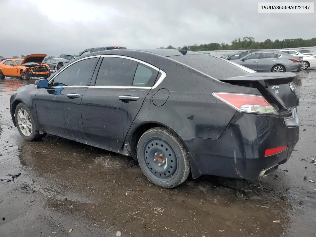 2009 Acura Tl VIN: 19UUA86569A022187 Lot: 73574634