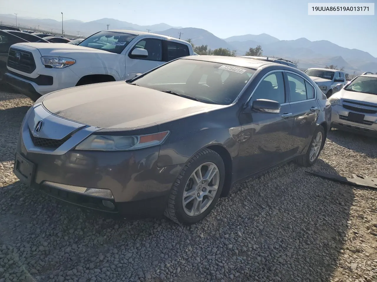 2009 Acura Tl VIN: 19UUA86519A013171 Lot: 73784014