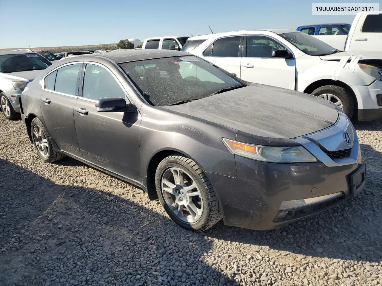 2009 Acura Tl VIN: 19UUA86519A013171 Lot: 73784014