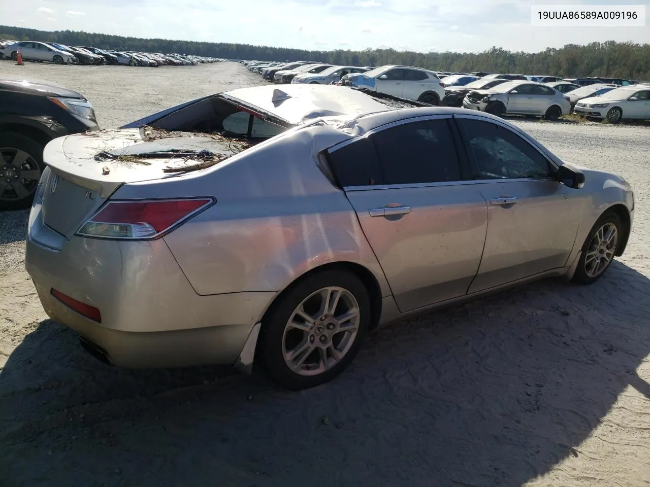 2009 Acura Tl VIN: 19UUA86589A009196 Lot: 73858694