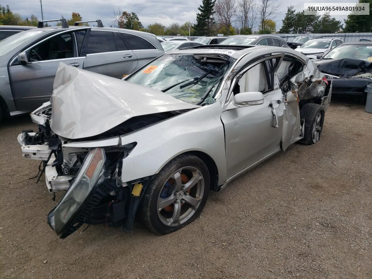 2009 Acura Tl VIN: 19UUA96549A801934 Lot: 74183804