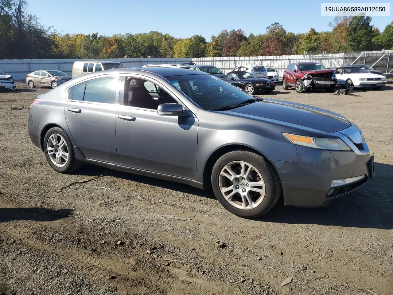 2009 Acura Tl VIN: 19UUA86589A012650 Lot: 74790084