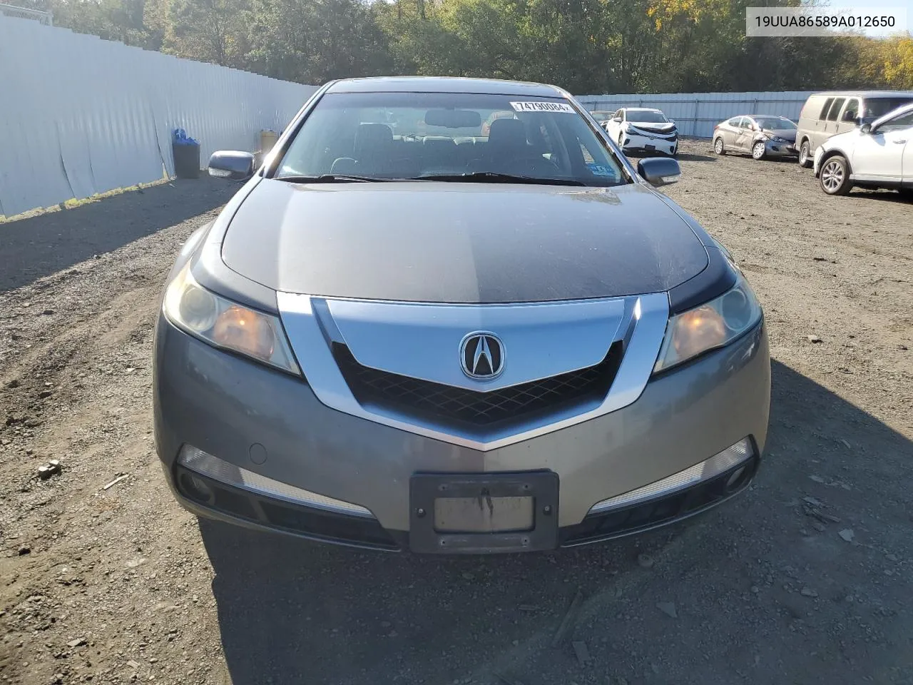 2009 Acura Tl VIN: 19UUA86589A012650 Lot: 74790084