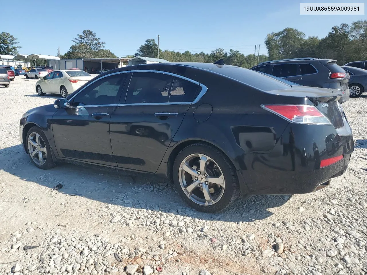 2009 Acura Tl VIN: 19UUA86559A009981 Lot: 75770664