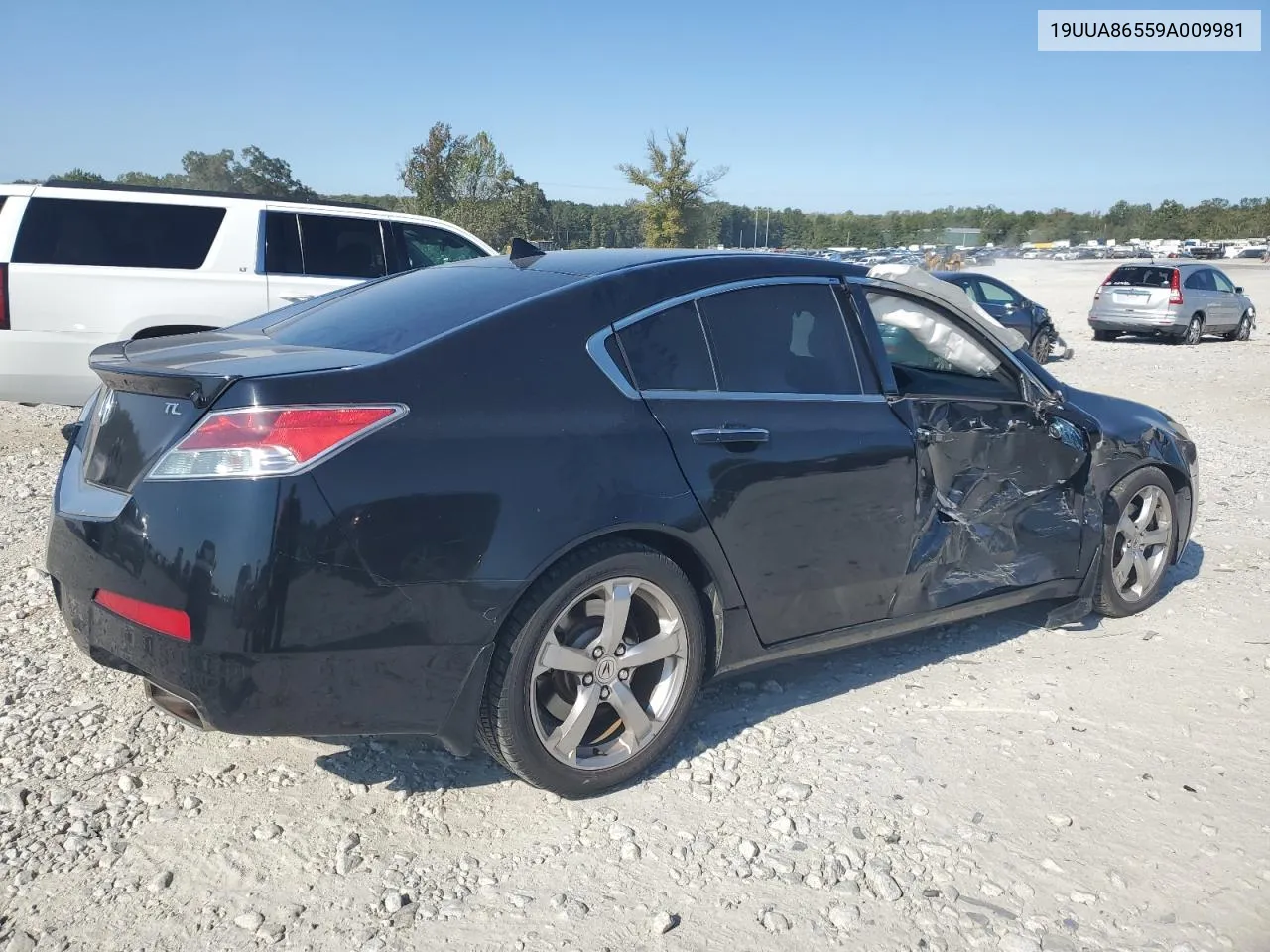 2009 Acura Tl VIN: 19UUA86559A009981 Lot: 75770664