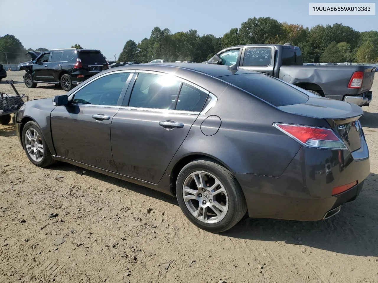 2009 Acura Tl VIN: 19UUA86559A013383 Lot: 76096164