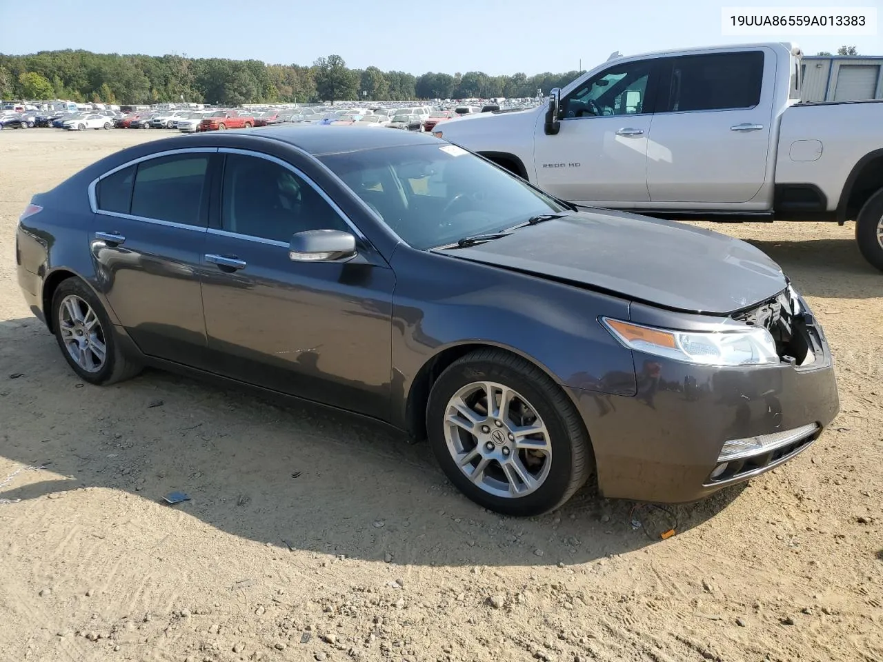 2009 Acura Tl VIN: 19UUA86559A013383 Lot: 76096164