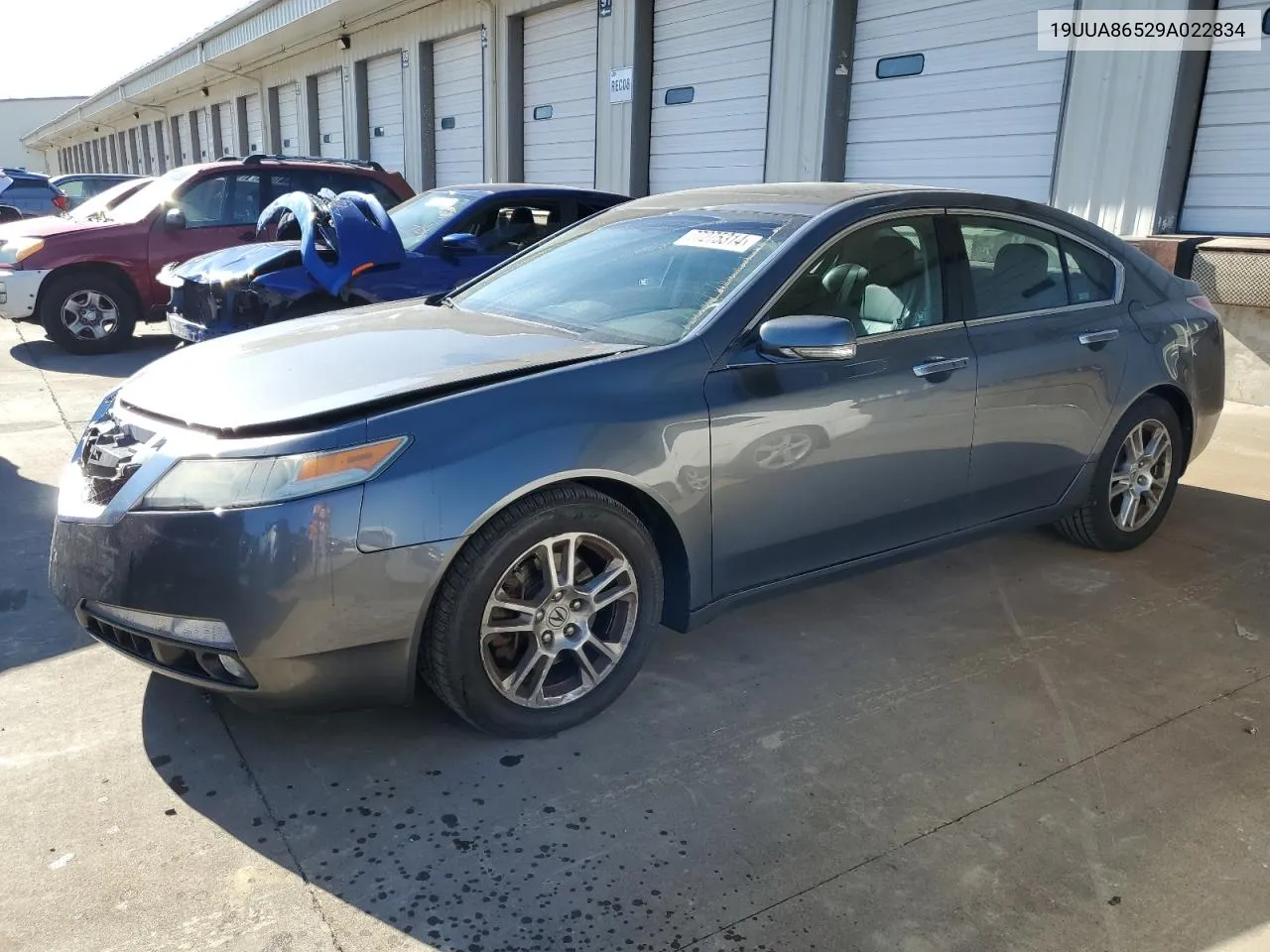 2009 Acura Tl VIN: 19UUA86529A022834 Lot: 77275314